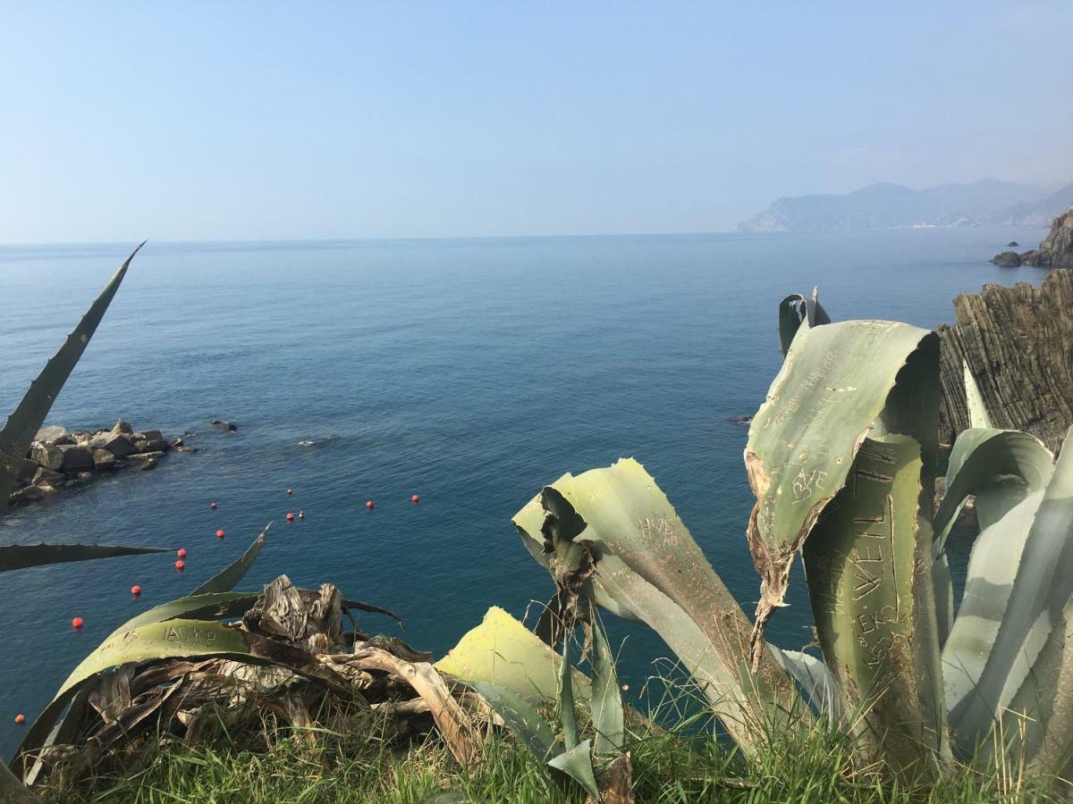 Casa D'Amore Hotell Riomaggiore Eksteriør bilde